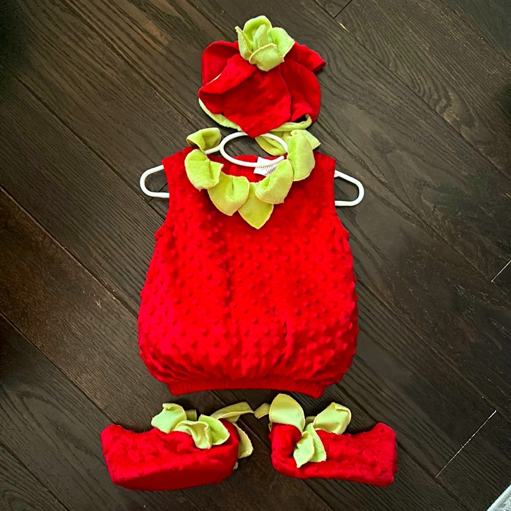 Baby strawberry costume